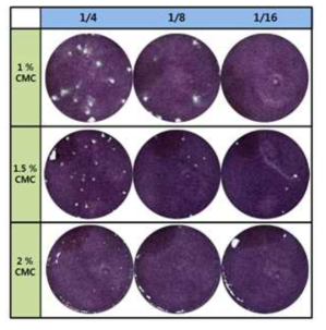 CMC 농도에 따른 plaque 형성 비교