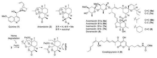 말라리아 치료제인 퀴닌, 아르테미시닌 및 이버맥틴의 화학적 구조식의 semi-biosynthesis 구조