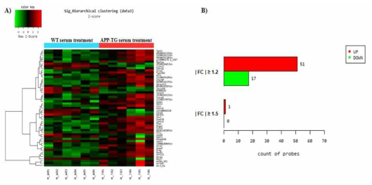 Hierarchical clustering (A) and the number (B) of differentially expressed genes in mouse neuronal cell line (T4) treated with APP-Tg mouse serum