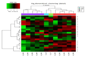 치매 및 정상 혈청을 처리한 SH-SY5Y 세포주의 차별 발현 유전자의 Hierarchical clustering