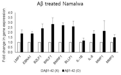 Namalwa에서 Aβ처리로 인한 만성감염바이러스 유전자 발현 조사