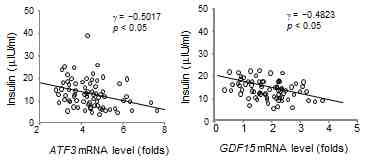 Correlation analysis between insulin levels in plasma of lean subjects and ATF3 or GDF15 mRNA expression