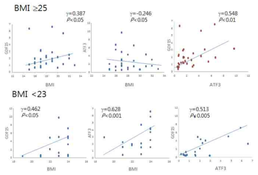 BMI 기준에 따른 GDF15와 ATF3 mRNA 발현 및 GDF15와 ATF3 발현 correlation analysis