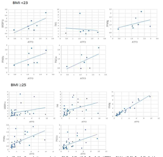 Correlation analysis : BMI 기준 적용에 따라 ATF3 mRNA 발현에 따른 lipid accumulation과 β-oxidation에 관련되는 유전자 mRNA발현 상관성 분석