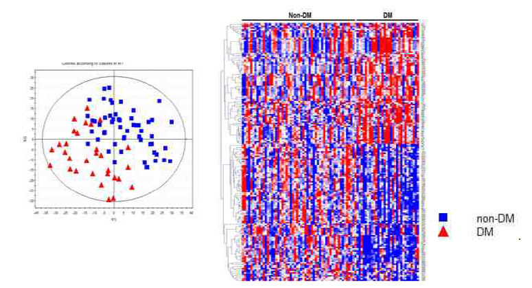 Positive mode. BMI 25이상 당뇨 환자군과 정상군의 PLS-DA Score scatter plot (A), Heatmap (B)