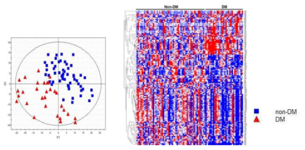 Positive mode. BMI 25이상 당뇨 환자군과 정상군의 PLS-DA Score scatter plot (A), Heatmap (B)