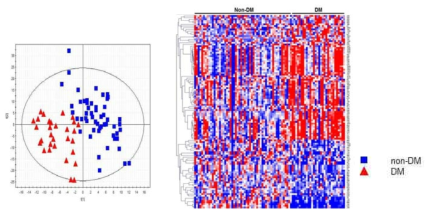Positive mode. BMI 25미만 당뇨 환자군과 정상군의 PLS-DA Score scatter plot (A), Heatmap (B)