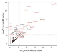 DDD 프로젝트 결과. 주요 유전자들의 통계적 상관성