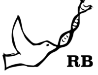 RareBird의 소형 로고