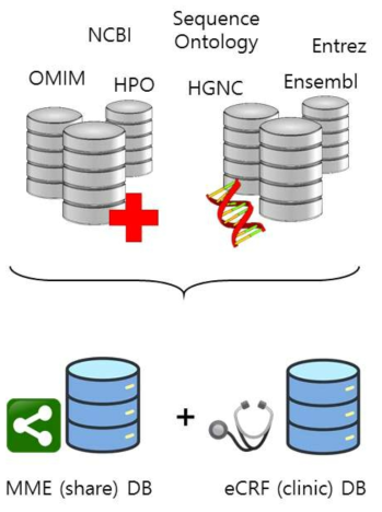 그림 MME 통신 및 표준화된 DB 구축을 위해 조사 및 참고한 geno-phenotype 데이터베이스들