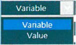 Value/Variable 선택 방식