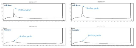 아로니아 혼합물과 과립 투과율 분석 chromatogram