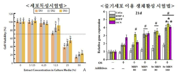 골이식재 평가항목으로 사용될 세포독성 시험법 및 줄기세포 이용 생체활성 시험법의 예