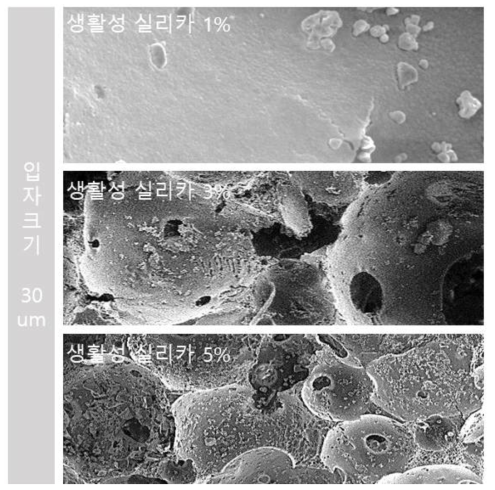 합성골이식재에 생활성 실리카 30um 농도별 코팅