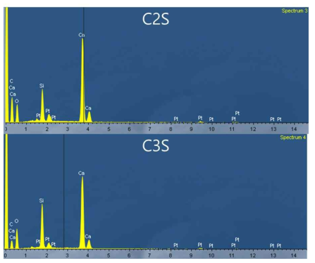 C2S, C3S의 에너지분산형 분광분석 결과