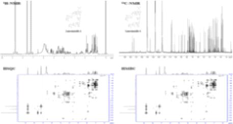 13C-NMR 분석을 통한 더덕의 지표물질 규명