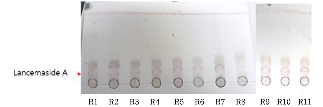 CCD 설계에 따른 조추출물 내 지표물질의 상대적 함량 (TLC)