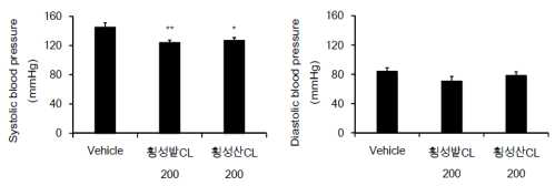 고혈압 쥐에서 입지(농지와 임지)별(횡성밭더덕 vs 횡성산더덕) 더덕 추출물 복용에 따른 혈압 비교