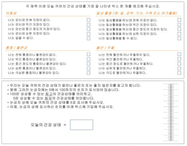 삶의 질 척도(EQ-5D-5L) 설문지 예시