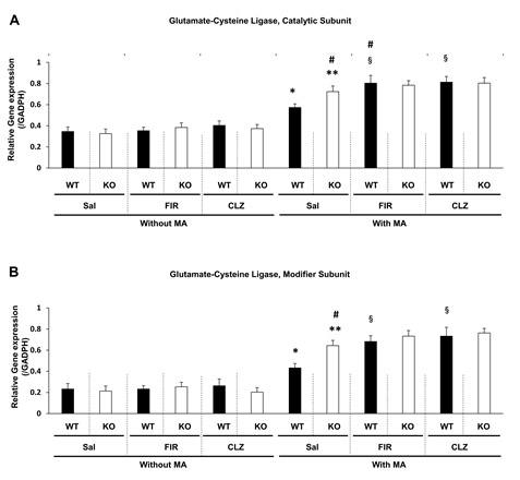 전전두엽에서 MA에 의한 glutathione 합성 효소인 glutamate-cysteine ligase (GCL) catalytic subunit (A)과 GCL modifier subunit (B)의 mRNA 발현의 변화에 대한 원적외선 조사 (FIR) 의 효과. CLZ = clozapine. WT = wild-type mice, KO = PKCδ gene knockout mice, Sal = saline, CLZ = antipsychotic clozapine. 각 수치는 6 마리의 평균 ± 표준오차를 의미함. *P < 0.05, **P < 0.01 vs. corresponding Sal, #P < 0.05 vs. MA + Sal (WT), §P < 0.05 vs. corresponding MA + Sal (three-way ANOVA followed by Fisher’s LSD pairwise comparisons)