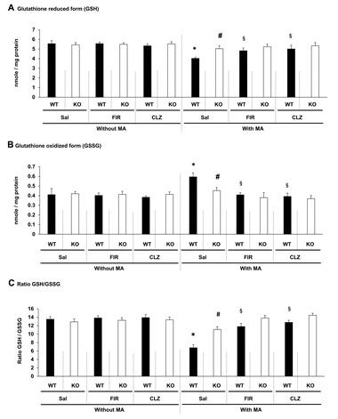 전전두엽에서 MA에 의한 GSH (A)와 GSH/GSSG 비율 (C)의 감소 및 GSSG의 증가 (B)에 대한 원적외선 조사 (FIR)의 효과. CLZ = clozapine. WT = wild-type mice, KO = PKCδ gene knockout mice, Sal = saline, CLZ = antipsychotic clozapine. 각 수치는 6 마리의 평균 ± 표준오차를 의미함. *P < 0.05, **P < 0.01 vs. corresponding Sal, #P < 0.05 vs. MA + Sal (WT), §P < 0.05 vs. corresponding MA + Sal (Three-way ANOVA와 사후검정으로 Fisher의 평가)