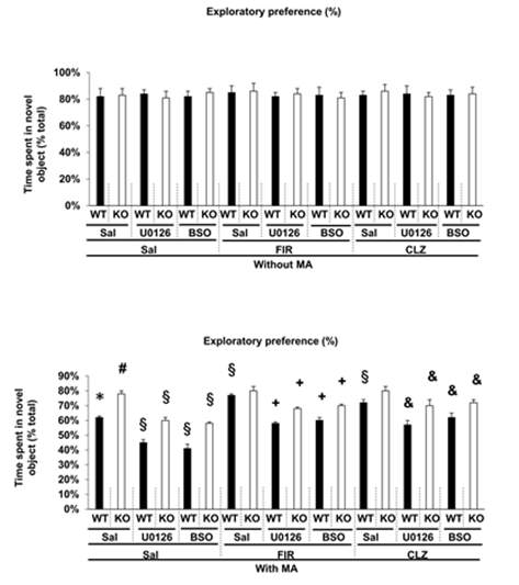 MA를 투여한 생쥐에서 FIR의 인지기억능 항진 효과에 대한 U0126과 BSO의 효과; Clozapine과의 비교. WT = wild-type mice, KO = PKCδ knockout mice, Sal = saline, CLZ = clozapine. 각 수치는 12 마리의 평균 ± 표준오차를 의미함. *P < 0.05 vs. corresponding Sal, #P < 0.05 vs. MA + Sal (WT), §P < 0.05 vs. corresponding MA + Sal, +P < 0.05 vs. corresponding MA + FIR, &P < 0.05 vs. corresponding MA + CLZ (Four-way ANOVA was followed by Fisher’s LSD pairwise comparisons)