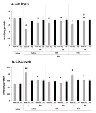 원적외선 조사 (FIR)의 MA 유도 GSH/GSSG 비율 감소 억제효과에 대한 losartan과 bosentan 의 효과. Non-TG = Non-transgenic mice. TG = GPx-1 overexpressing transgenic mice. LOS = Losartan. BOS = bosentan. 각 수치는 4 마리의 평균 ± 표준오차를 의미함. #p<0.05, ##p<0.01 vs. respective mice treated with saline, *p<0.01 vs. respective mice treated with MA, §P<0.05 vs respective mice treated with MA + BOS (ANOVA followed by multiple pair-wise comparisons with Bonferroni′s correction)