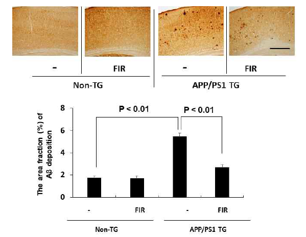 APP/PS1 이중과발현 생쥐의 대뇌피질조직에서 나타나는 아밀로이드반 (amyloid plaques) 축적에 대한 인공 원적외선 조사 (FIR)의 효과. 아밀로이드반 축적은 면역조직화학적 염색법을 이용해 측정하였음. FIR = far-infrared ray exposure. APP/PS1 TG = APP/PS1 이중과발현 생쥐. Non-TG = 야생형 생쥐. 각 수치는 8 마리의 평균 ± 표준오차를 의미함. Two-way ANOVA와 사후검정으로 Fisher의 PLSD 평가