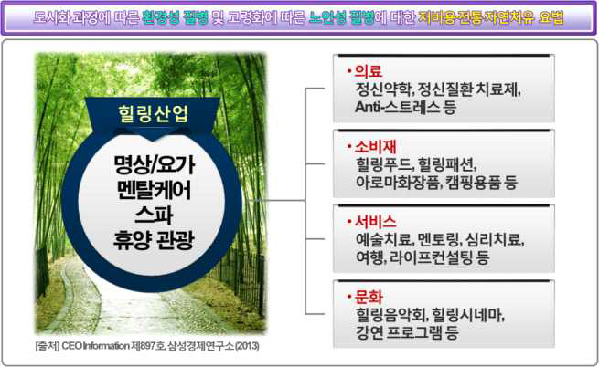 힐링산업의 영역(삼성경제연구소, 2013)