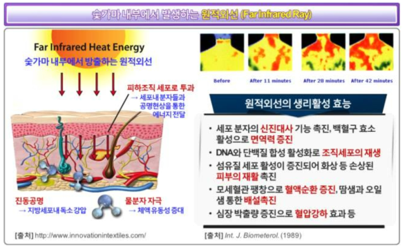 원적외선의 인체 작용 원리 및 생리활성 효능