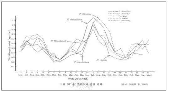 침엽수 수종의 연중 총엽록소량 증감 경향