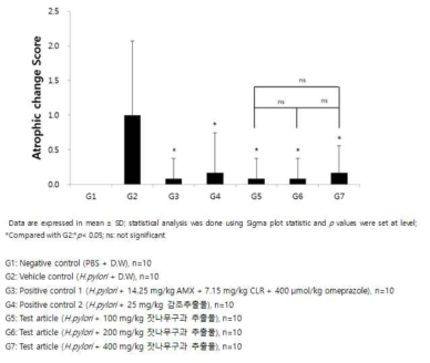 Effects of the test articles on histopathological examination (Atrophic change score)