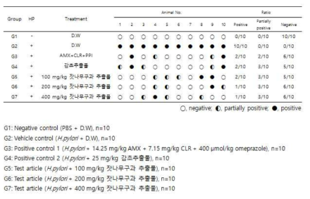 Values of rapid urease (CLO) test in gastric tissue