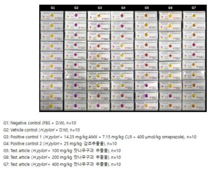 Individual value ofrapid urease (CLO) test in gastric tissue