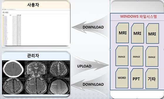 MRI 분석