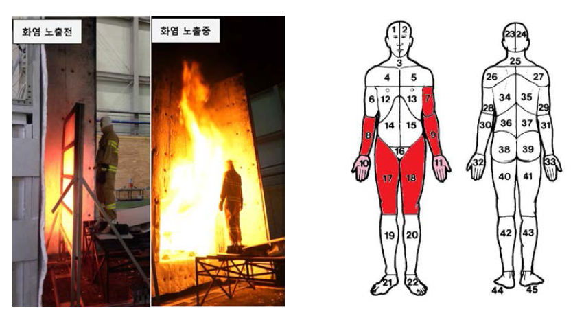 84 kW/m2 실화재 시험 결과 (좌) 시험 전/후 사진 (우) 화상노출부위