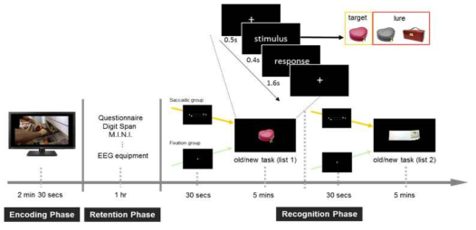 The procedure and recognition task in this study