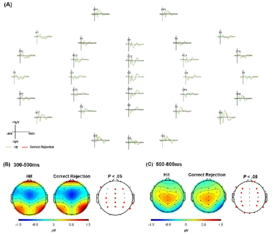 The event-related potentials of hit and correct rejection condition