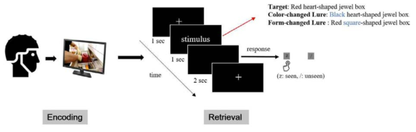 Schematic of the experimental design