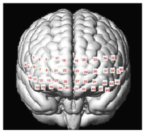 Schematic of fNIRS probes and optode locations registered to the MNI brain template across prefrontal cortex