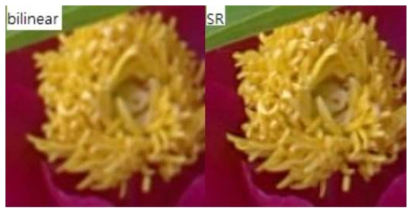 Bi-linear 기술과 SR 기술에 의한 이미지 비교
