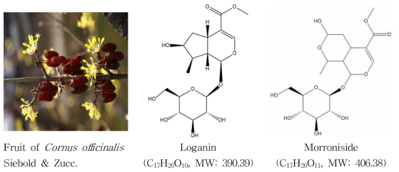 Picture and main compounds of fruit of Cornus officinalis Siebold & Zucc