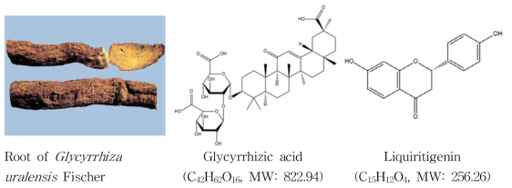 Picture and main compounds of root of Glycyrrhiza uralensis Fischer