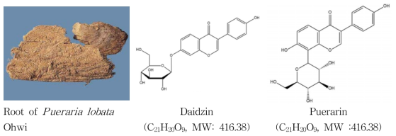 Picture and main compounds of root of Pueraria lobata Ohwi