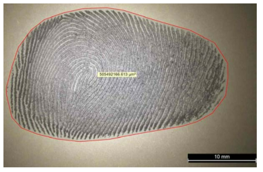 성인 남자의 엄지를 힘껏 눌러 생성된 지문 및 동 면적을 측정한 상태)