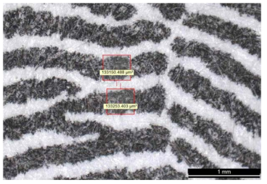 Figure 1호 지문의 융선 단일체 및 동 면적을 측정 상태)