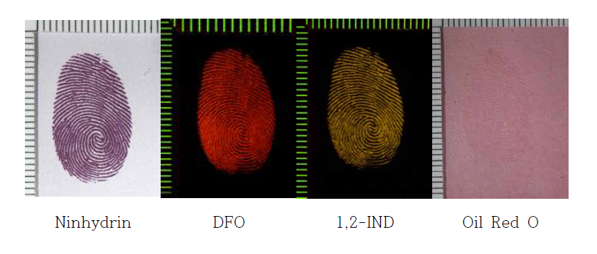 다공성 표면에서 아미노산 반응시약 Ninhydrin, 1,2-IND, DFO, 지질 반응시약 Oil Red O를 이용한 인공지문 현출 결과