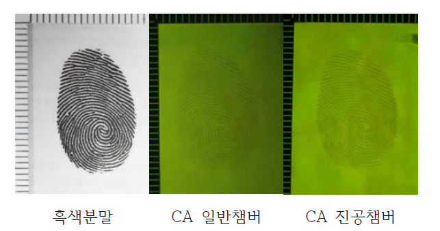 비다공성 표면에서 흑색분말, CA 훈증법 적용 후 염색시약 Basic Yellow 40를 이용한 인공지문 현출 결과