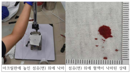 비산혈흔 생성실험 전, 단계별 실험과정