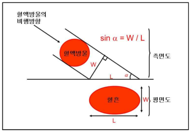 Schematic Diagram of the Angle of Impact